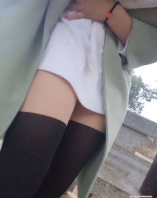完美世界在线看免费版观看