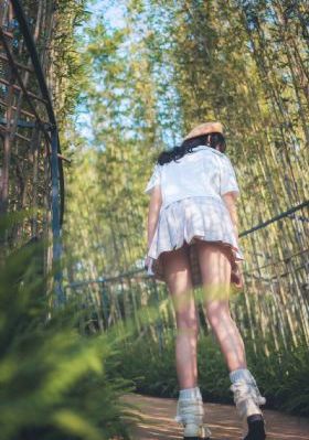 大明星免费观看完整